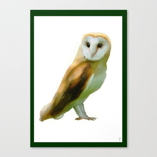 The Barn Owl Canvas Print