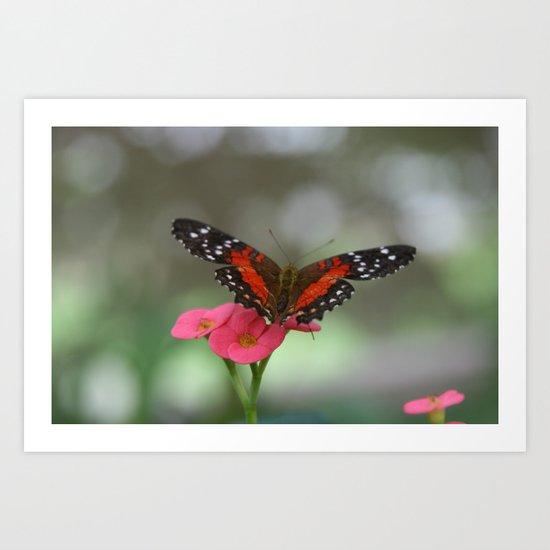 Butterfly House 2 Art Print