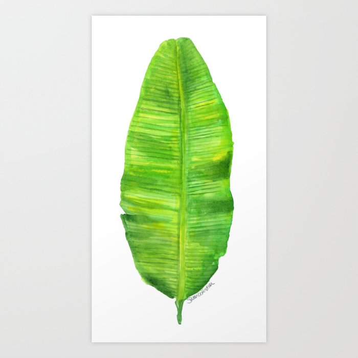 Banana Leaf Watercolor Painting Art Print By Susanwindsor