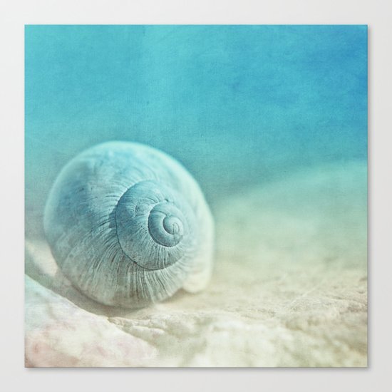 APRICOTEE | Blue version Canvas Print