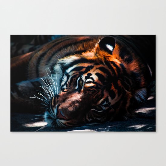 tiger Canvas Print
