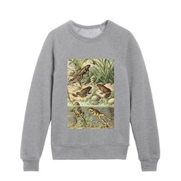 Naturalist Frogs Kids Crewneck