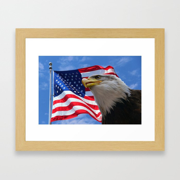 American Flag and Bald Eagle Framed Art Print
