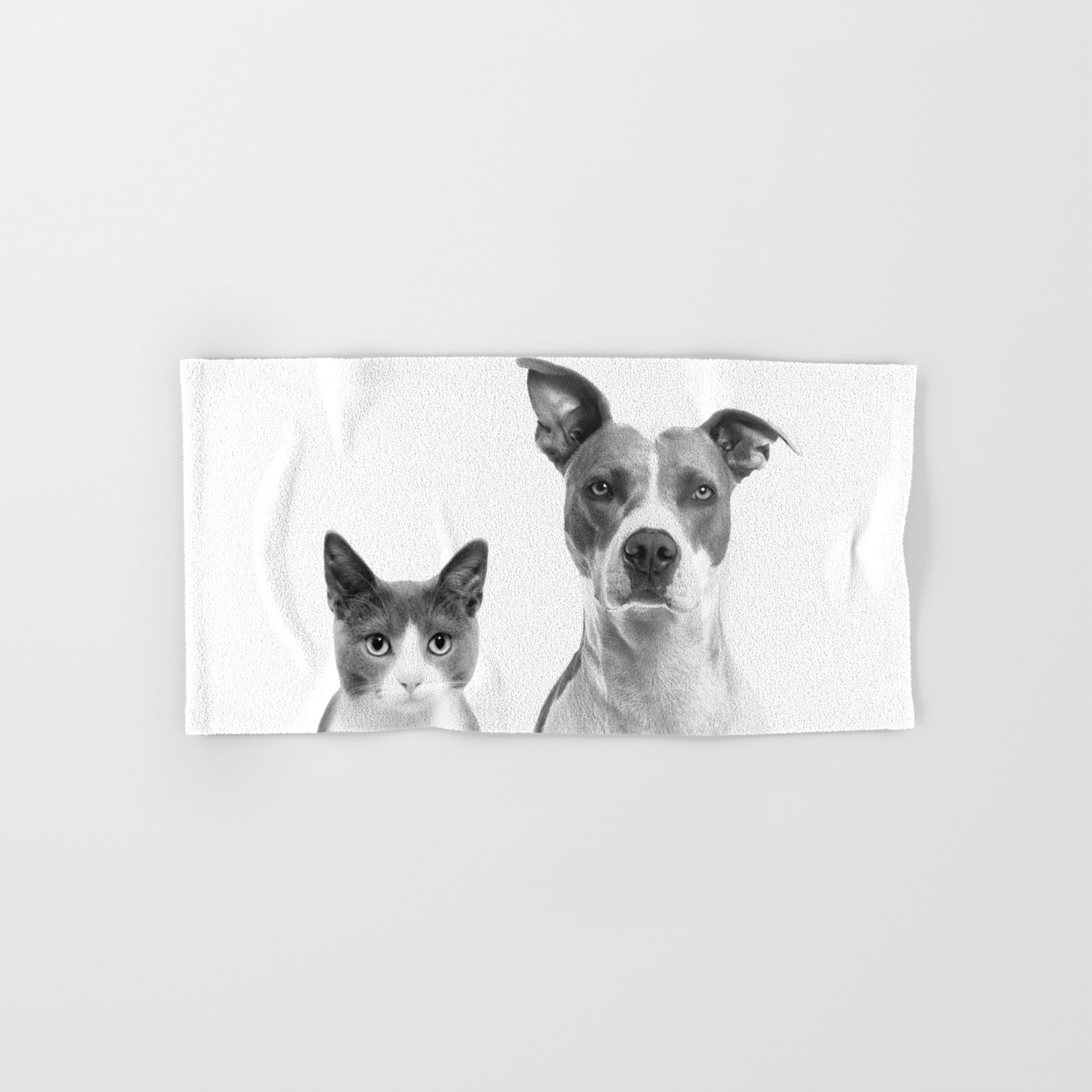Cute Kitty Cat And Puppy Portrait Art Print Cat And Dog Animal