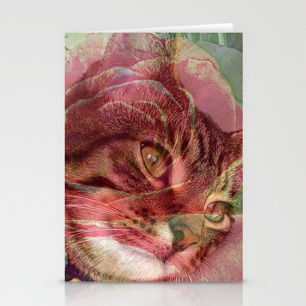 Ash The Tabby Stationery Cards