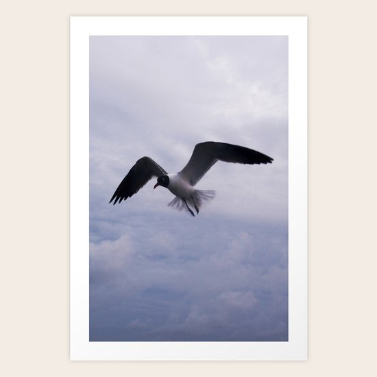 Bird Art Print