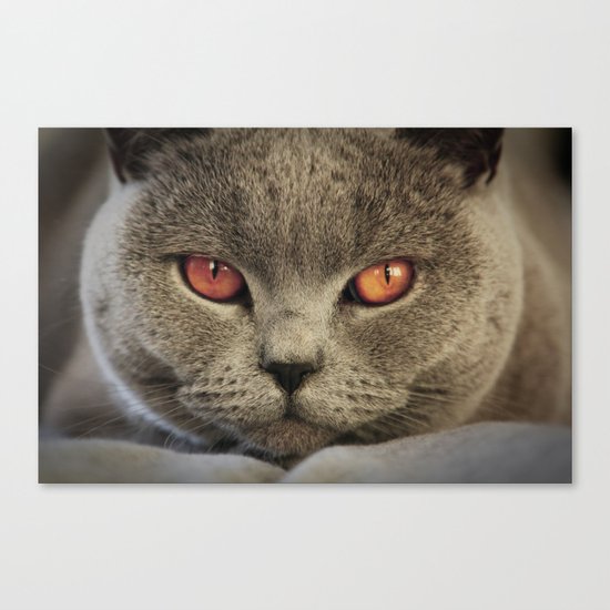 Tomcat Diesel Canvas Print