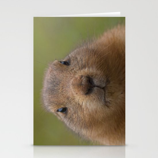 I'm cute Stationery Cards