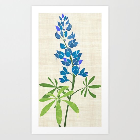 Texas Bluebonnet Art Print