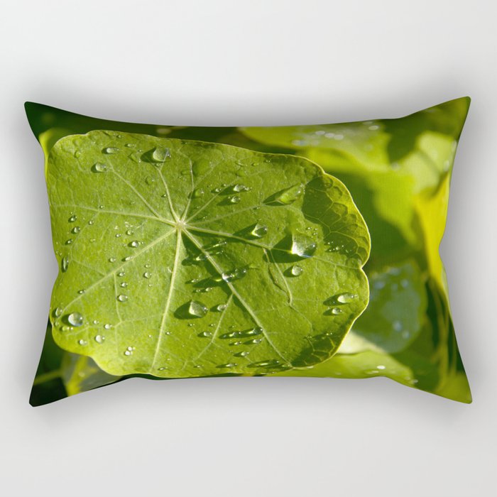 Rain drips on a nasturtium leaf Rectangular Pillow