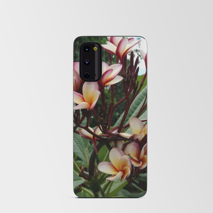 Mexico Photography - Beautiful Red Frangipanis Android Card Case