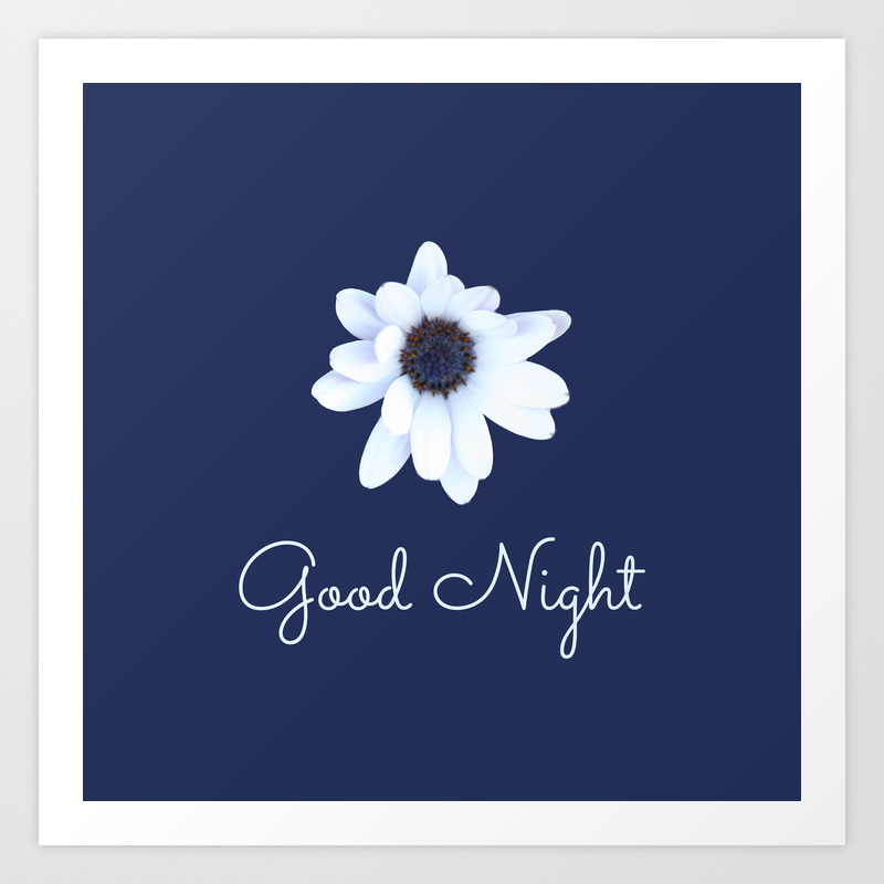 good night sleepy african daisy flower art print by annaki