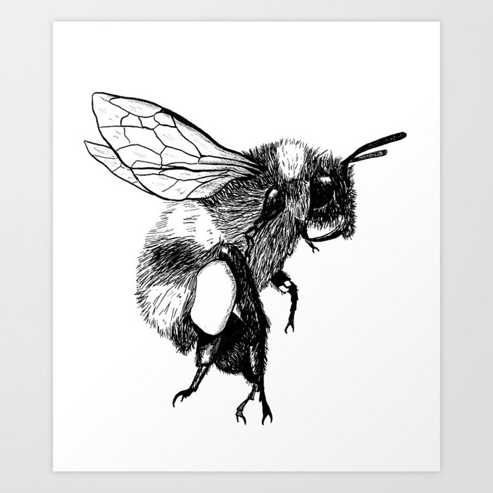 Bumblebee, honeybee - ink artwork  Art Print