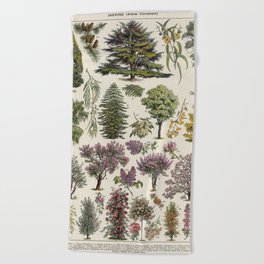 Vintage Trees Poster - Arbres by Adolphe Millot Beach Towel