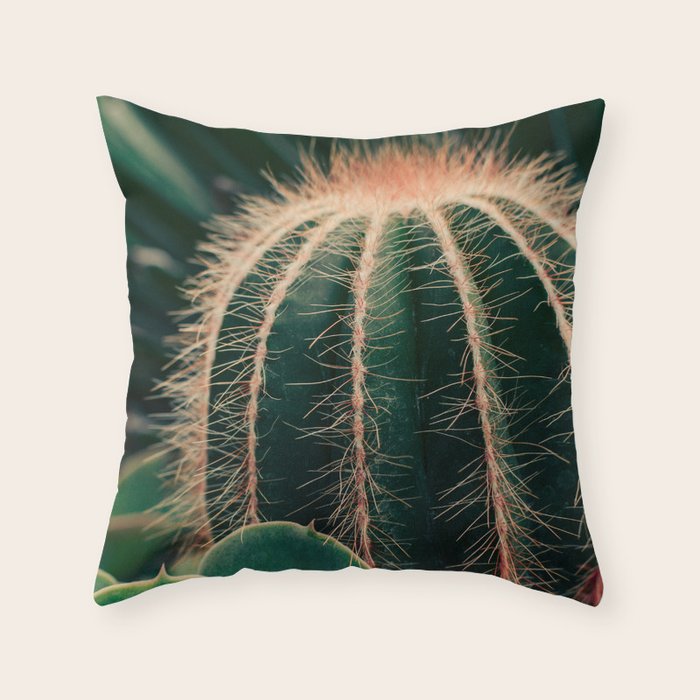 Throw Pillow