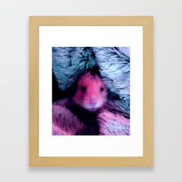 Hamster in pink and blue Framed Art Print
