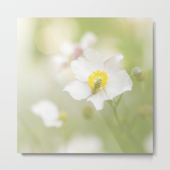 Spring Metal Print