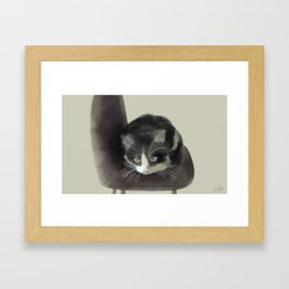 Ninja, Tuxedo Cat on Chair Framed Art Print