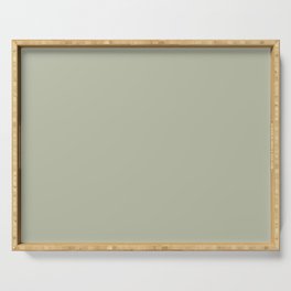 Smokey Pastel Green Gray Solid Color Hue Shade - Patternless Serving Tray