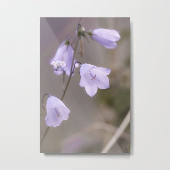 Lilac Bells Metal Print