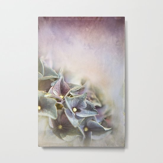 HYDRANGEA Metal Print