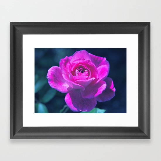 Heart of Rose Framed Art Print