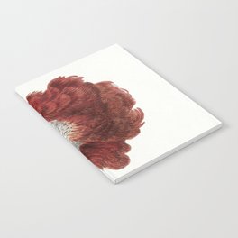 Head of a Macaw Notebook