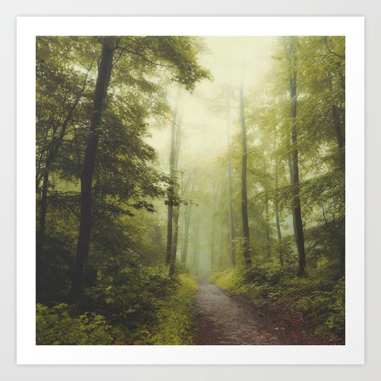 Long Forest Walk Art Print
