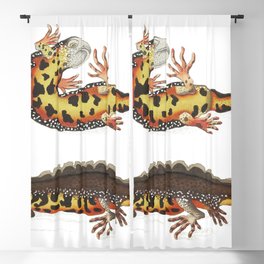 Warted Newt, Warty lizard, Black and Orange Water Newt or Greater Water Newt Blackout Curtain