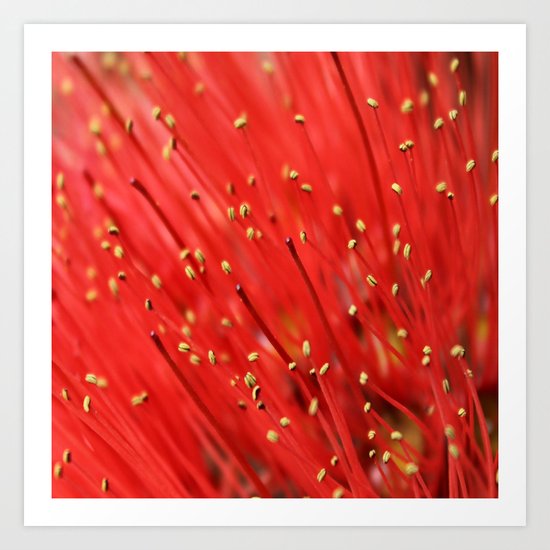 Red & Hairy Art Print