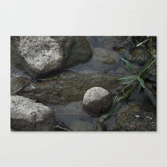 A River Runs Through It Canvas Print