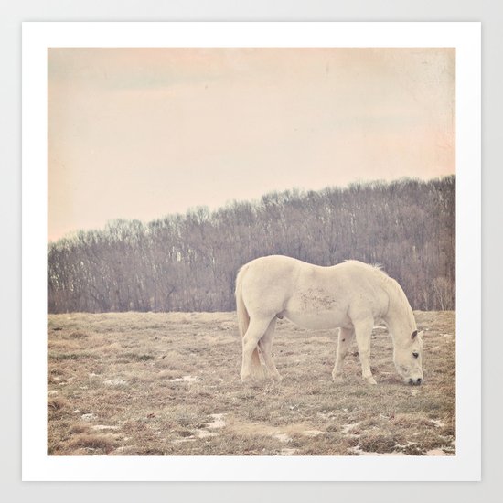 Pretty White Pony Art Print