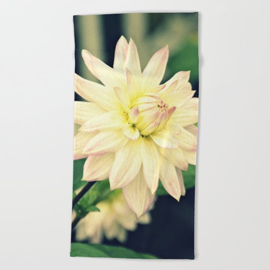 White dahlia retro Beach Towel