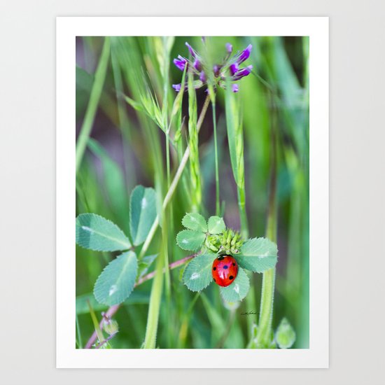 My Lady Art Print