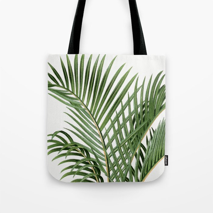 Vintage Botanical Print - Palm Trees illustration Tote Bag by KOOVOX ...