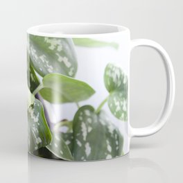 Scindapsus  |  The Houseplant Collection Coffee Mug