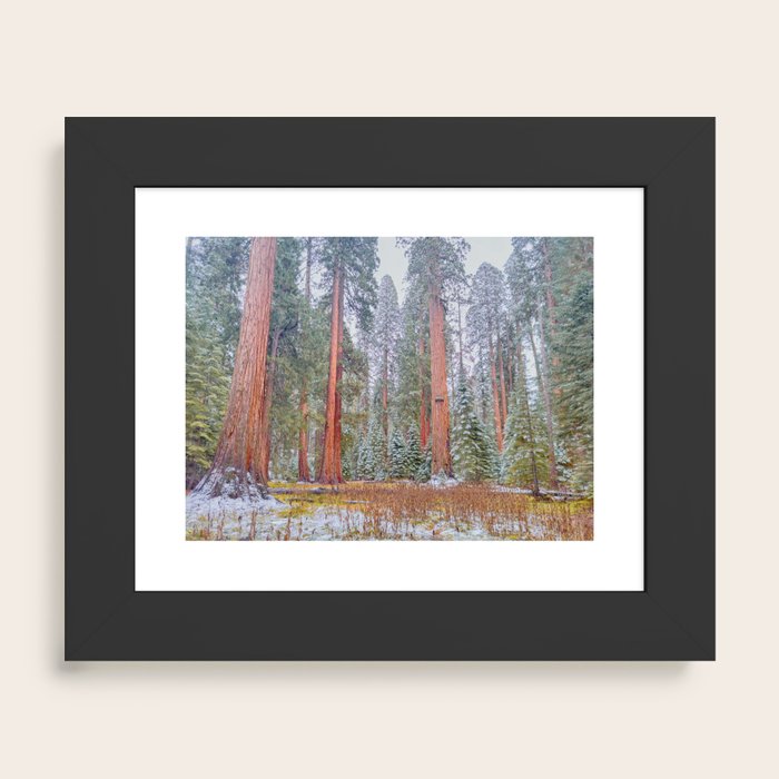 Framed Art Print