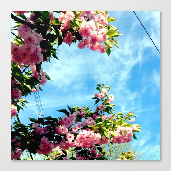 Nature 4 Canvas Print
