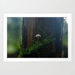 Lonely Mushroom 2 Art Print