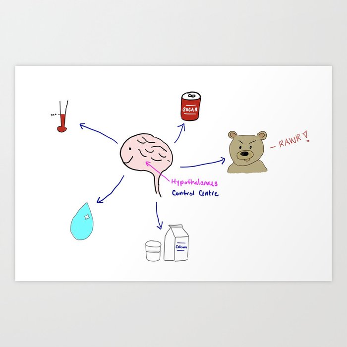 Homeostasis Art Print by Meaghan77 | Society6