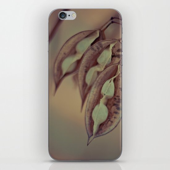 Pod iPhone & iPod Skin