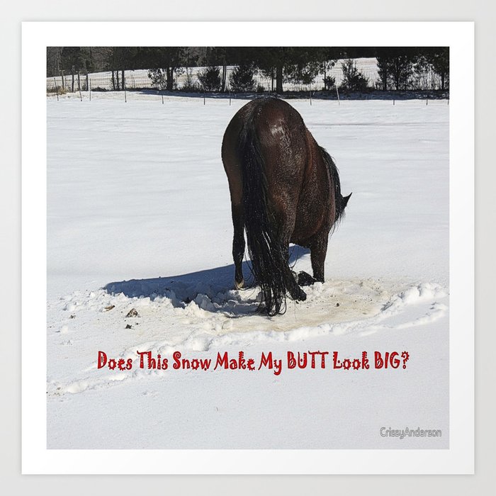 Horse In Snow Humor Art Print By Creativedesignsbycrissy Society6 Images & pictures of humor snow wallpaper download 6 photos. horse in snow humor art print by creativedesignsbycrissy