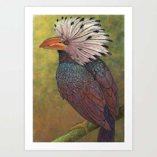 White Crested Hornbill Art Print
