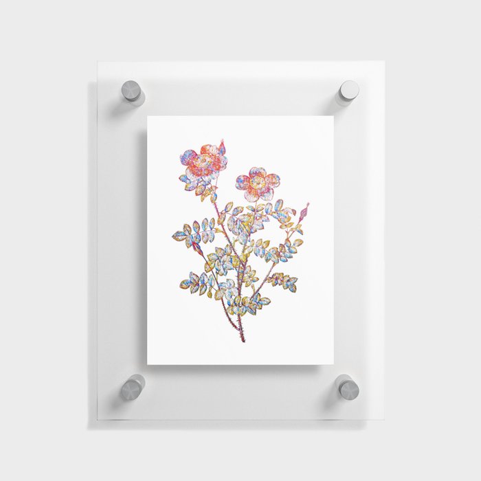 Floral Variegated Burnet Rose Mosaic on White Floating Acrylic Print