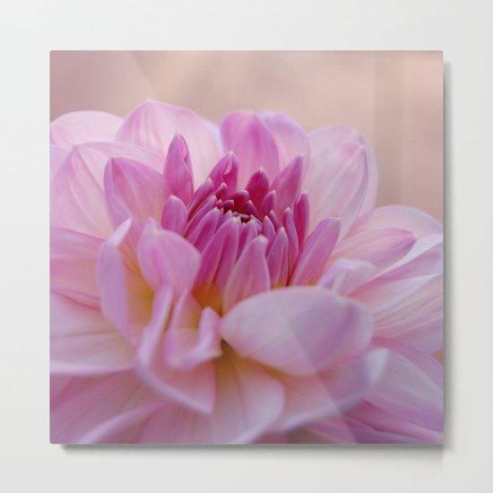 summer sun Metal Print