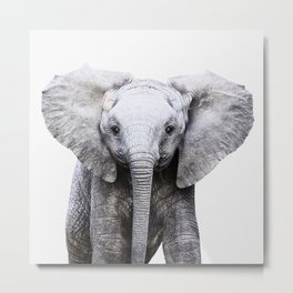 Baby Elephant Metal Print | Wildanimals, Zoo, Baby, Photo, Savannah, Wild, Elephant, Animal, Children, Color 