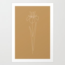 Caramel Iris Art Print