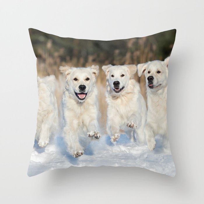 Four Golden Retriever Dogs Running Outdoors  Throw Pillow