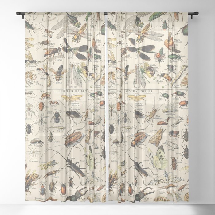 Insect Vintage Science Chart Sheer Curtain