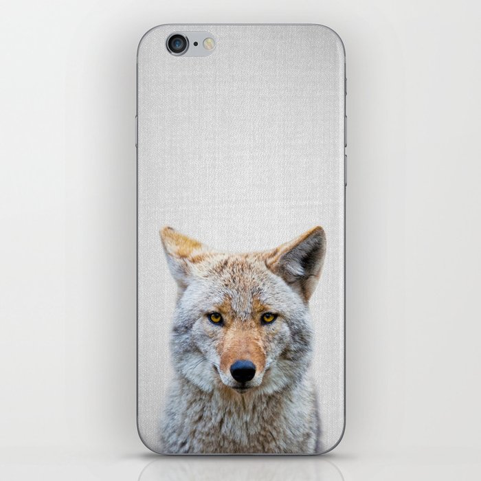 Coyote Colorful Iphone Skin By Galdesign Society6